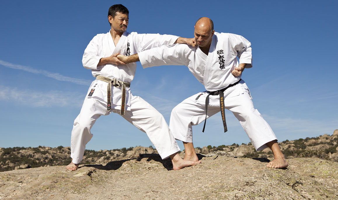 karate, ken kyu kai,kenkyukai,dojo madrid,dojomadrid,artes marciales